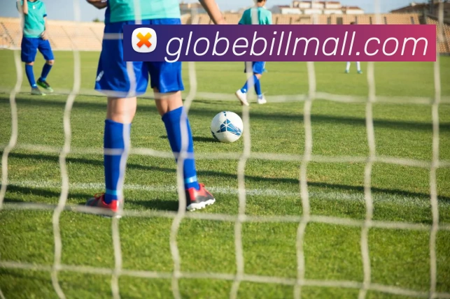 开云平台生态图